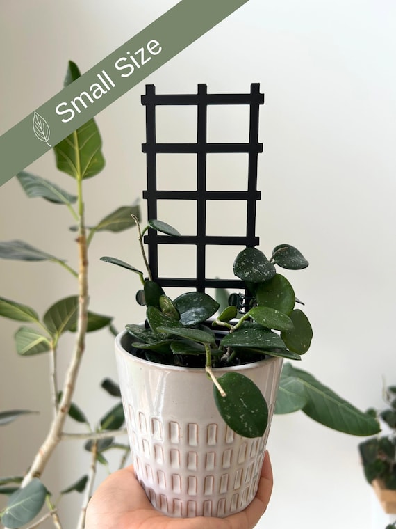 Small Lattice Plant Trellis, Modern Hoya Pot Accessory - Etsy