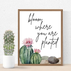 Puede incluir: Un cuadro enmarcado con las palabras "bloom where you are planted" en una elegante escritura. La obra presenta ilustraciones de acuarela de cactus con flores rosas y pequeñas piedras. Un cactus en maceta está a la izquierda.