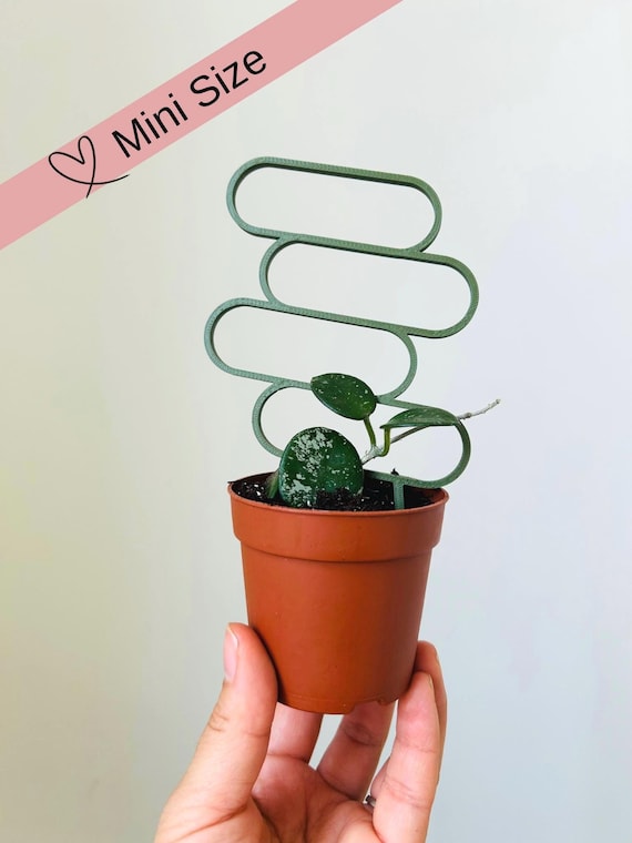 Mini Ovals Plant Trellis: Hoya Propagation Stick, Houseplant Pot Accessory  - Etsy
