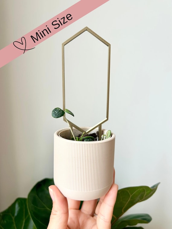 Mini Hexagon Plant Trellis, Hoya Support, Modern Indoor Garden Decor