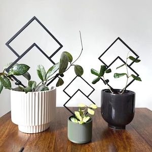 Puede incluir: Tres plantas en macetas con estructuras geométricas de enrejado de metal negro. Las plantas están en macetas blancas, verdes y gris oscuro. Las macetas están sobre una mesa de madera contra una pared blanca. Las plantas tienen hojas verdes.