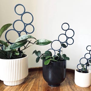 May include: Three potted plants with dark blue metal plant supports shaped like circles. The supports are different sizes and are arranged in a curved shape. The plants are in white and black pots.