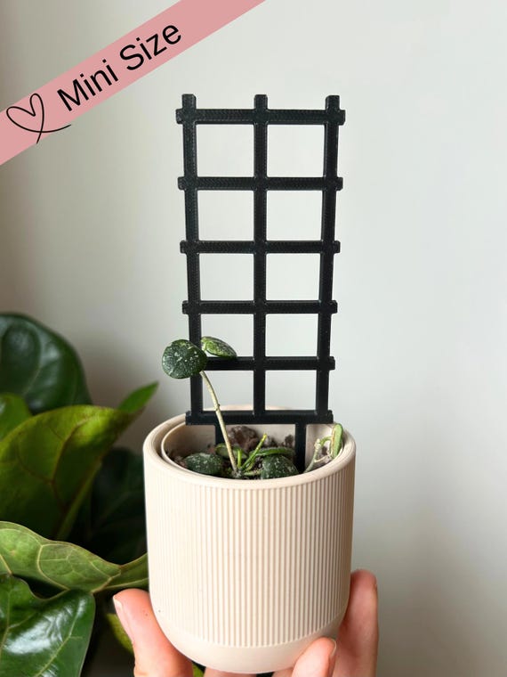 Mini Lattice Plant Trellis, Small Hoya Climbing Stake, Plant Lover Gift -  Etsy