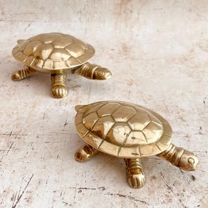 May include: Two polished brass turtle figurines with detailed shell patterns and four legs each. The metallic surfaces reflect light, highlighting the smooth, rounded contours of the shells and the distinct, textured heads of the two animal sculptures.
