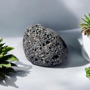 Kleiner natürlicher Vulkanstein - Umweltfreundlicher Stein für Sukkulenten und Terrarien