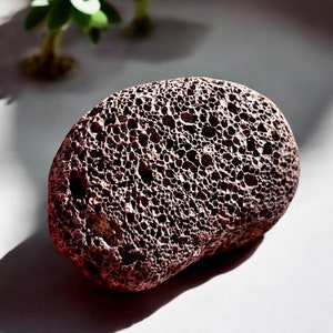 May include: A dark brown pumice stone with a rough, textured surface. The stone is irregularly shaped and has a slightly oval form.