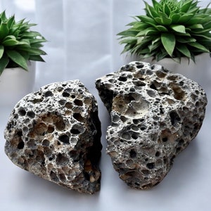 May include: Two gray, porous, volcanic rocks with a rough, textured surface. The rocks are broken in half and have a natural, organic look.