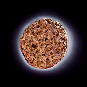 Op de afbeelding: Een close-up van een bruine, poreuze, ronde steen met een ruwe textuur. De steen heeft veel kleine gaten en lijkt een soort puimsteen te zijn.