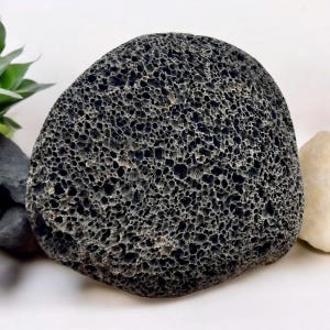 Könnte beinhalten: Ein dunkelgrauer Bimsstein mit poröser Textur. Der Stein hat eine unregelmäßige, abgerundete Form und ist von anderen Steinen und Grün umgeben. Dieser Naturstein wird zum Peeling der Haut verwendet.