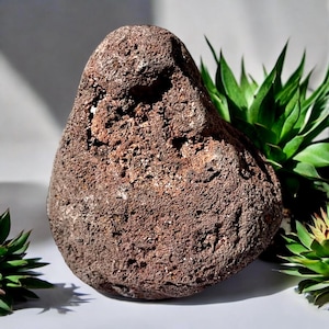 Natural Lava Rock from Madeira | Raw Volcanic Stone for Terrariums, Aquariums, Decor & Crafts | Porous Basalt Rock