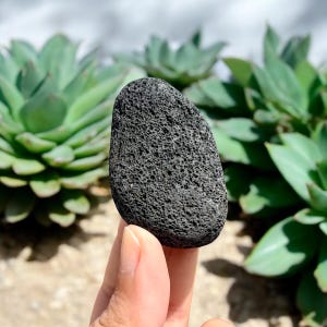 Madeira Lava Rock | Volcanic Basalt Stone for Succulents, Terrariums, Aquascaping | Unique Natural Textured Rock