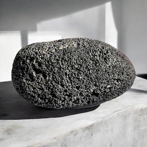 May include: A dark gray, rough, oval-shaped volcanic rock with a porous texture.