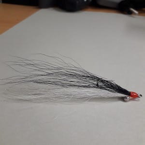 Può includere: Una mosca da pesca fatta a mano con un corpo di piume nere e bianche. La mosca ha una testa rossa e un amo d'argento. Questa mosca è progettata per la pesca.