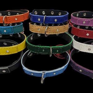 May include: A stack of ten leather dog collars in various colors, including black, yellow, blue, green, red, white, and purple. Each collar has a silver metal buckle and multiple silver metal eyelets.