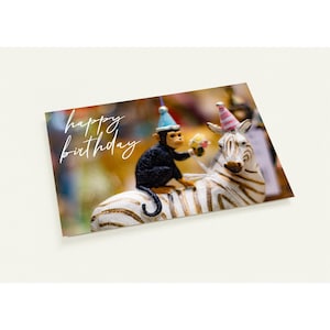 Postales - Mono sobre cebra - Tarjetas de cumpleaños
