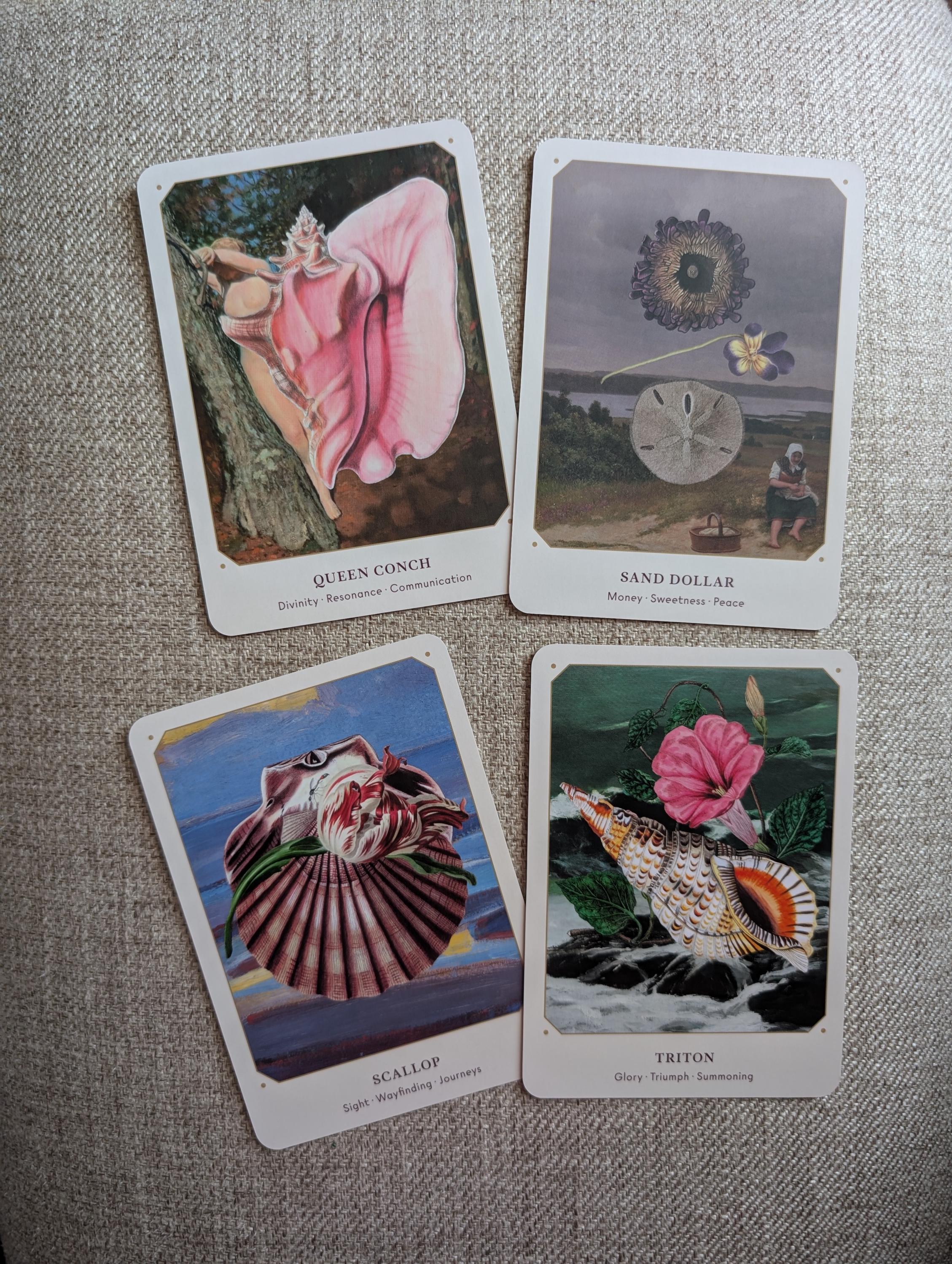 Sea Shell Oracle Pathfinder The Sea Shell Oracle Deck - Etsy