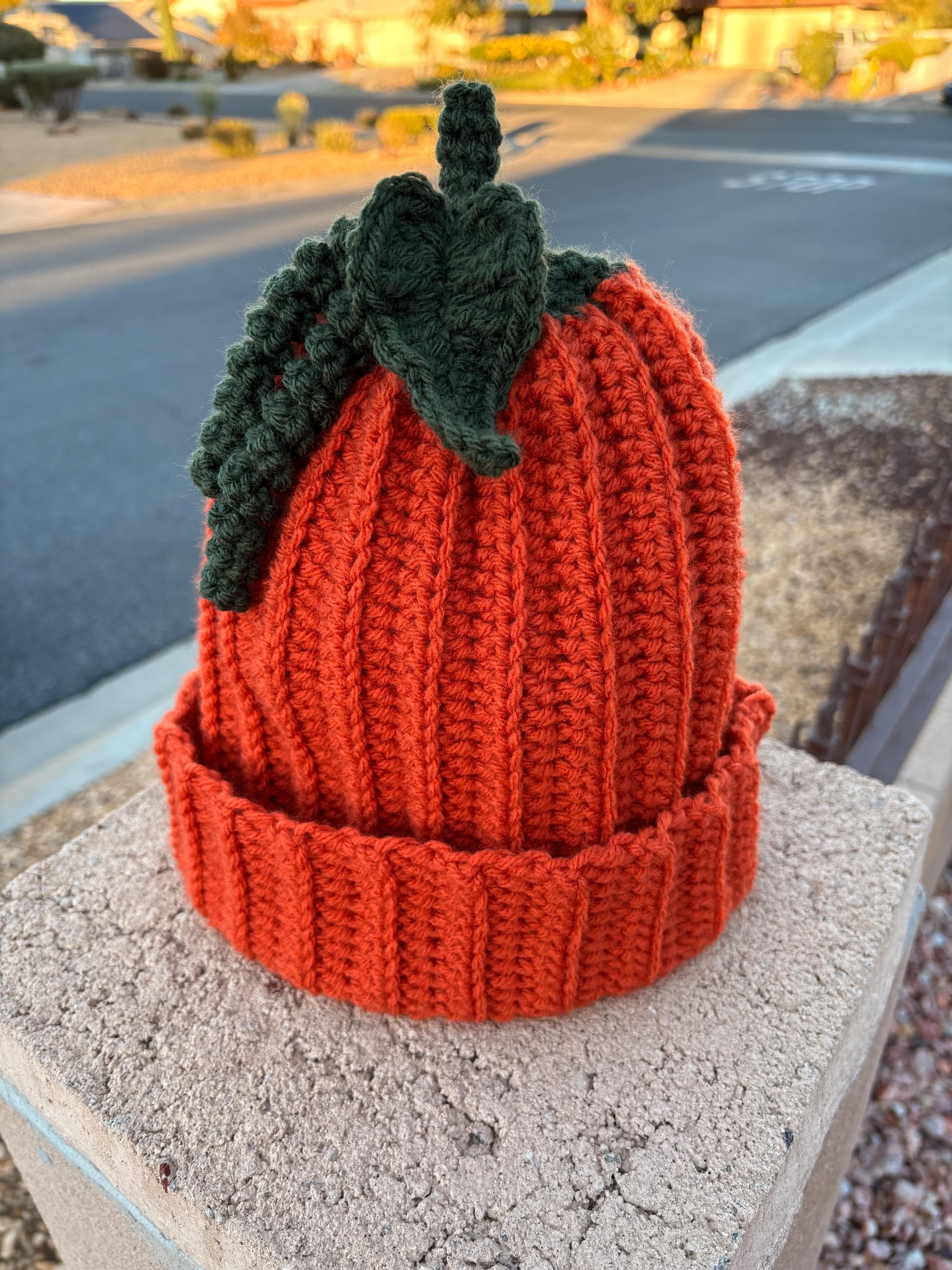 Tuque automne Canada