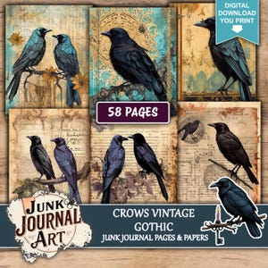 The image is a collage of vintage-style photographs featuring black crows in various poses and settings, including perched on branches, standing on the ground, and interacting with each other. The collage includes images of the crows in different poses and settings, creating a visually interesting and artistic composition.