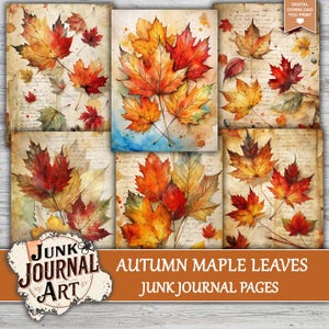 The image is a collage of six pages featuring autumn maple leaves in various shades of orange, red, and yellow. The leaves are arranged in a grid-like pattern, creating a visually appealing and artistic composition.