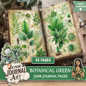 Puede incluir: Páginas abiertas de un diario basura con ilustraciones botánicas de varias plantas y hojas verdes. Las páginas tienen un aspecto envejecido y vintage. El texto "95 páginas" es visible, junto con "Botanical Green Junk Journal Pages."