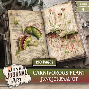 Puede incluir: Un diario basura abierto con ilustraciones botánicas de plantas carnívoras. Las páginas presentan una Venus atrapamoscas y plantas jarra, con escritura manuscrita y el texto "120 PAGES". La portada dice "Junk Journal Art" y "Carnivorous Plant Junk Journal Kit".