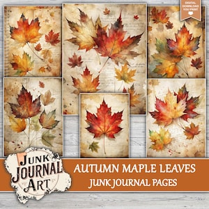 The image is a collage of various autumn maple leaves, each with different colors and sizes, arranged in a grid-like pattern.