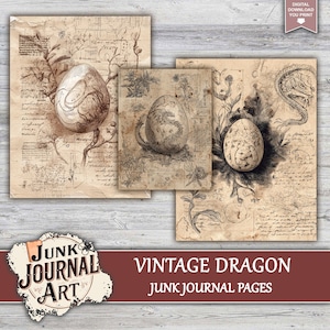 The image is a collage of three vintage-style illustrations depicting various objects, including a dragon, an egg, and a plant.