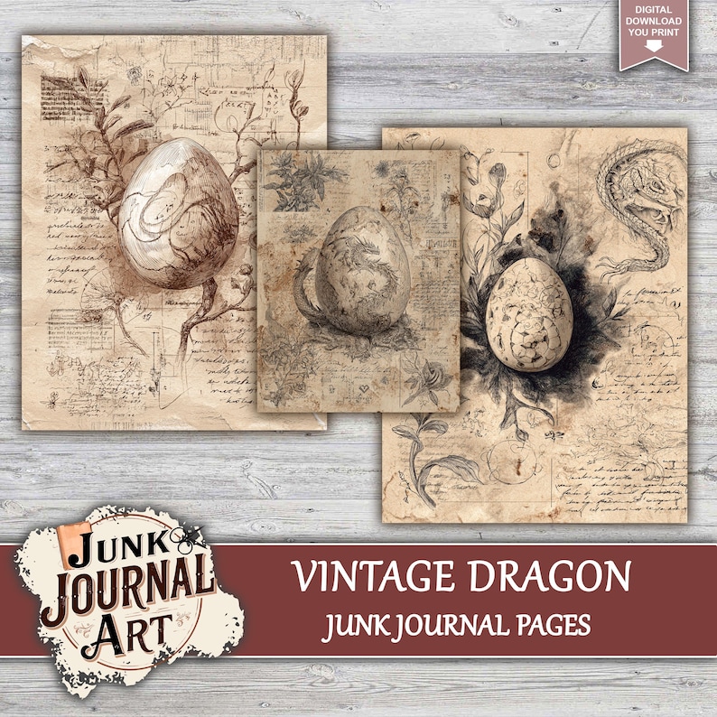The image is a collage of three vintage-style illustrations depicting various objects, including a dragon, an egg, and a plant.