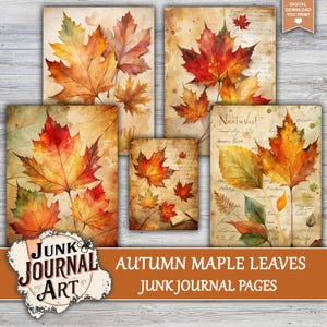 The image is a collage of various autumn-themed images, including leaves and plant life, arranged in a visually appealing manner.