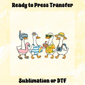 Just a Silly Goose Summer DTF Transfer, Trending Goose DTF, Summer Direct to Film, Ready to Press, Sarcastic Summer, Trendy Summer Goose DTF