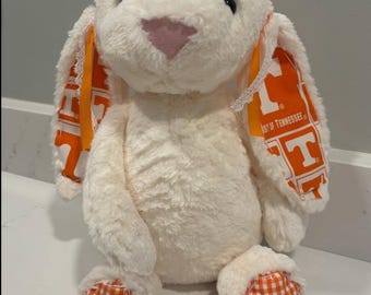 College and professional sports stuffed animal
