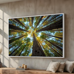 May include: A framed print of a forest canopy, viewed from below. The image captures tall, straight tree trunks reaching towards the sky, with green and yellow foliage at the top. The print is encased in a white frame, creating a modern aesthetic.