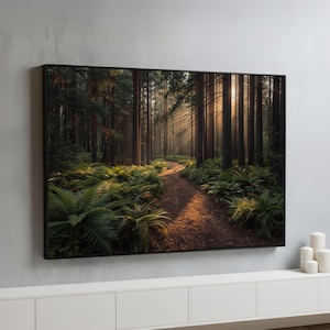 May include: A framed landscape print of a forest path bathed in sunlight. Tall, dark trees line the path, with ferns and greenery on either side. The sunlight streams through the trees, creating a warm, inviting scene.