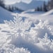 Snow Fall