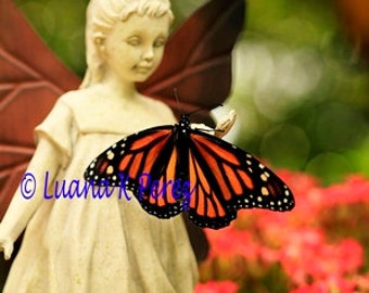 Angel Fairy and Butterfly Photo