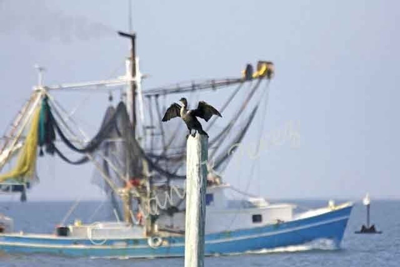 Shrimp Boat on Lake Pontchartrain image 1