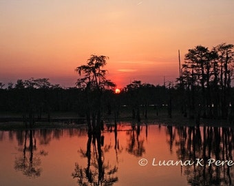 Sunset Photo in Louisiana Swamp