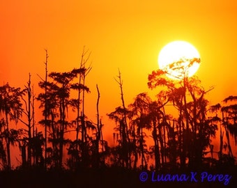 Louisiana Sunset