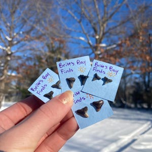 Shark Teeth Stud Earrings