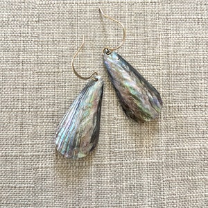 May include: A pair of iridescent abalone shell earrings with gold hooks.