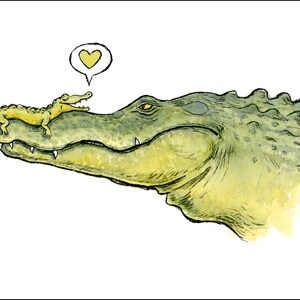 Coffret • Assortiment d'alligators • 10 cartes