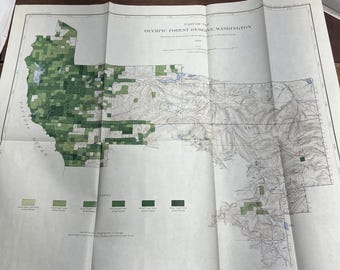 Vintage 1899 Olympic Forest Reserve Washington USGS Map Dodwell Rixon Gannett Li