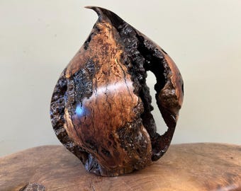 Abstract Manzanita table lamp carving sculpture