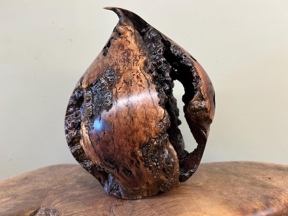 Abstract Manzanita table lamp carving sculpture