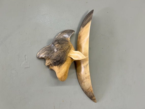 Whimsical carved Fish wood wall carving