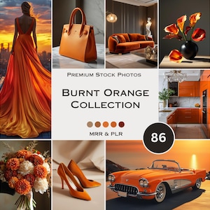 Puede incluir: Una colección de 86 fotos de archivo naranja quemado. Las imágenes incluyen una mujer con un vestido naranja quemado, un bolso de mano naranja quemado, un sofá naranja quemado, una cocina naranja quemado, un coche naranja quemado y un arreglo floral naranja quemado. Las imágenes son perfectas para usar en materiales de marketing, sitios web y redes sociales.