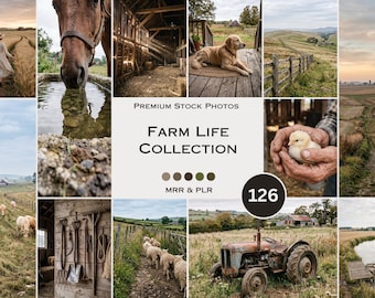 Farm Life Stock Photos Farm Animals Homestead Peaceful Cow Eggs Aesthetic Photos Faceless Marketing Plr Mrr Reel Cover