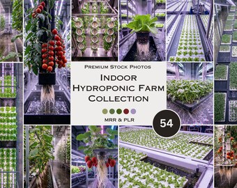 Indoor Hydroponic Farm Stock Photos Food Farm Vegetables Fruits Aesthetic Photos Faceless Marketing PLR MRR Reel Cover