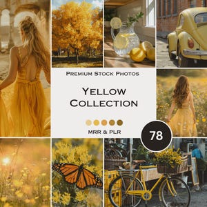 Yellow Stock Photos Yellow Flower Plant Aesthetic Photos Faceless Marketing Plr Mrr Reel Cover