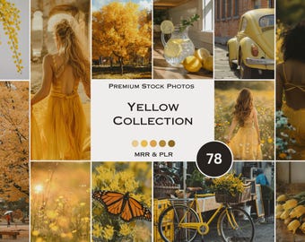 Yellow Stock Photos Yellow Flower Plant Aesthetic Photos Faceless Marketing Plr Mrr Reel Cover